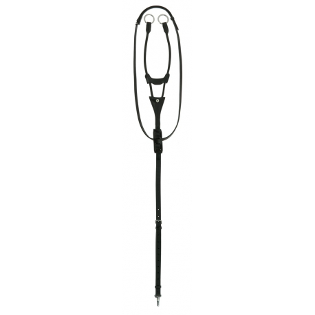 Martingale à anneaux Norton Pro élastique Martingale à anneaux Norton Pro élastique