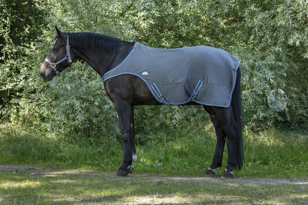 chemise marcheur cheval