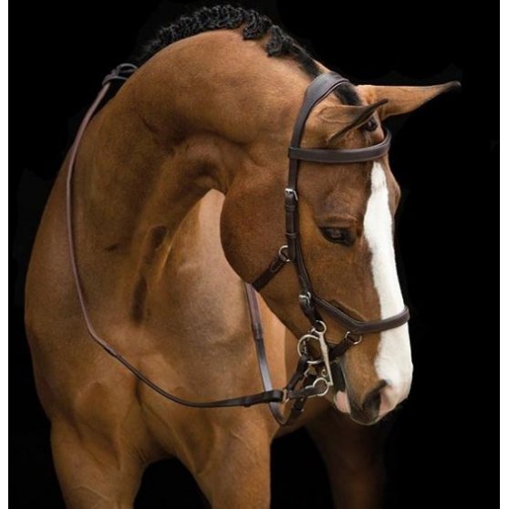BROWN COLOR Horse Micklem Multibridle bridle  Mcklem Horse Bridle size cob