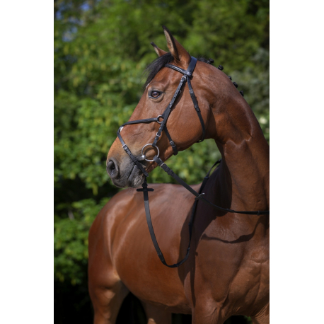Bridon Riding World muserolle croisée Bridon Riding World muserolle croisée