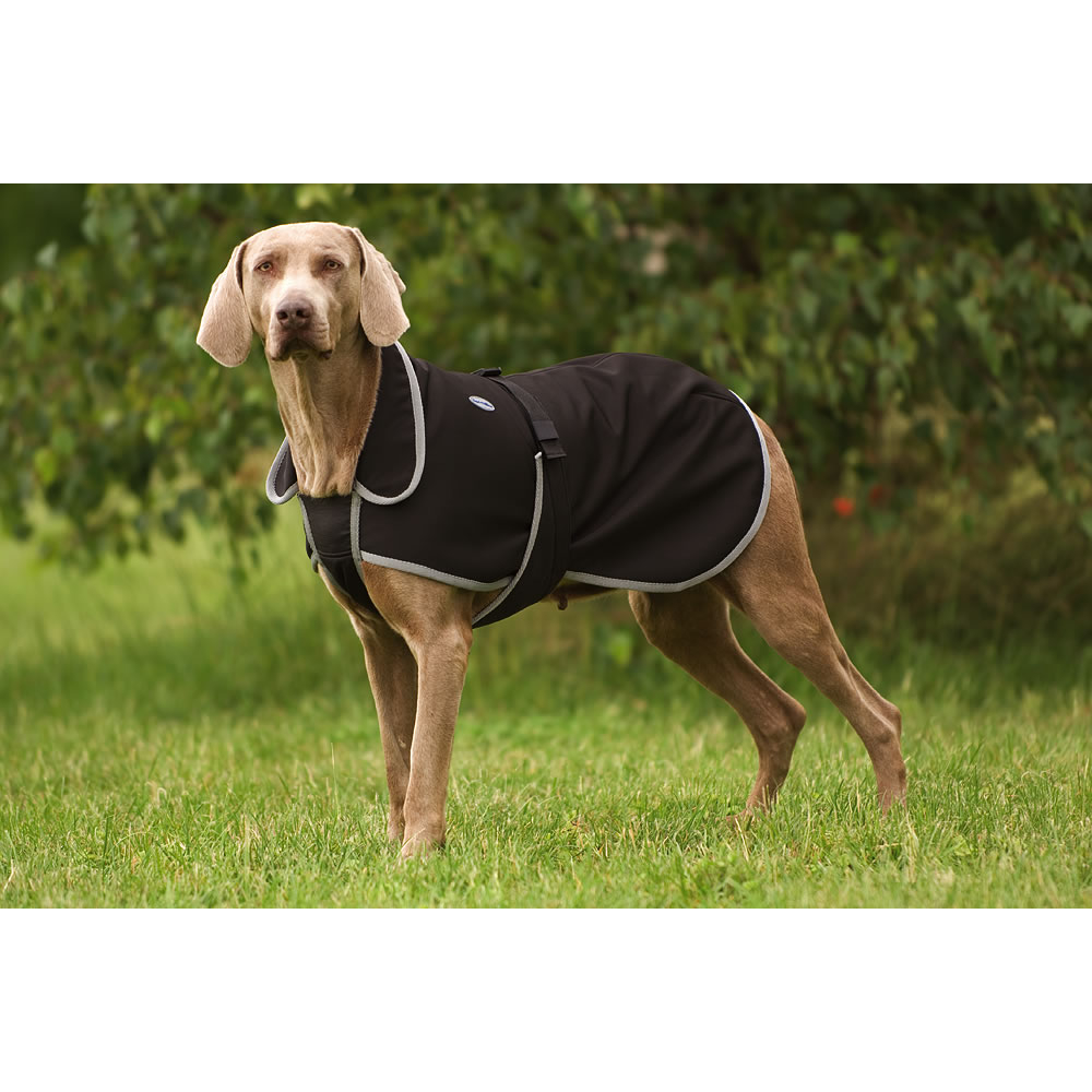Diego & Louna Soft Shell-Hundemantel
