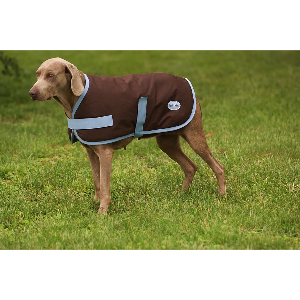 Couverture pour chien indestructible