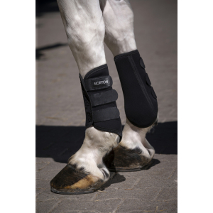 Norton Elastic tendon boots