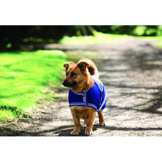 Manteau imperméable pour chien Amigo Dog Rug bleu Horseware