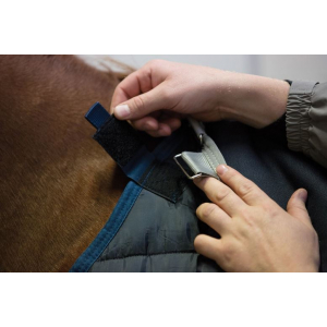 Horseware Pony Underrug