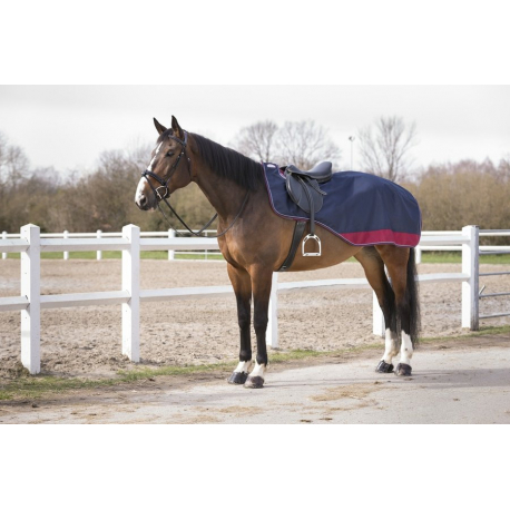 Couvre-reins EQUITHÈME Tyrex 1200D doublé polaire Couvre-reins EQUITHÈME Tyrex 1200D doublé polaire
