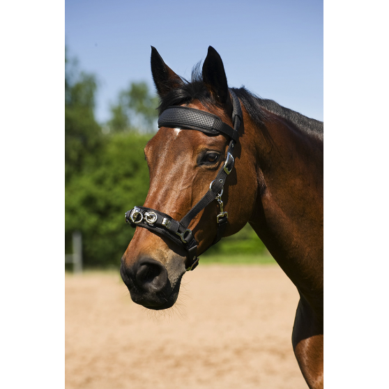 Horse Training Tack. New Lami-Cell Rope Noseband Caveson