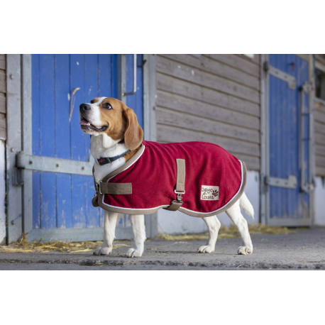 Couverture chien Diego & Louna Polyfun Couverture chien Diego & Louna Polyfun