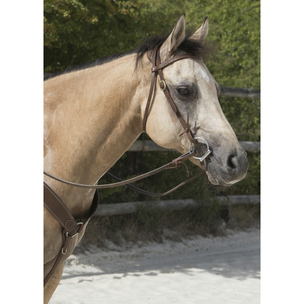 Westride Colorado Bridle by Franck Perret - western briddles, reins and  trining aids - PADD