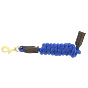 Norton Leather lead rope