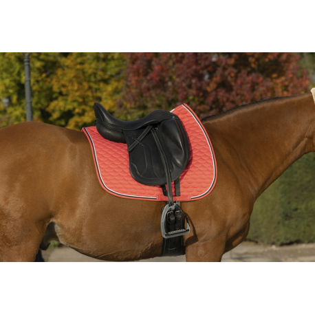 Chabraque EQUITHÈME Double rope - Dressage Chabraque EQUITHÈME Double rope - Dressage