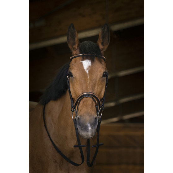 Norton Pro Rosegold leather reins