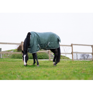 EQUITHÈME Tyrex 600D Recycled turnout rug - Standard