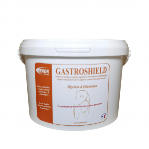 Rekor Gastroshield Stomach support and care