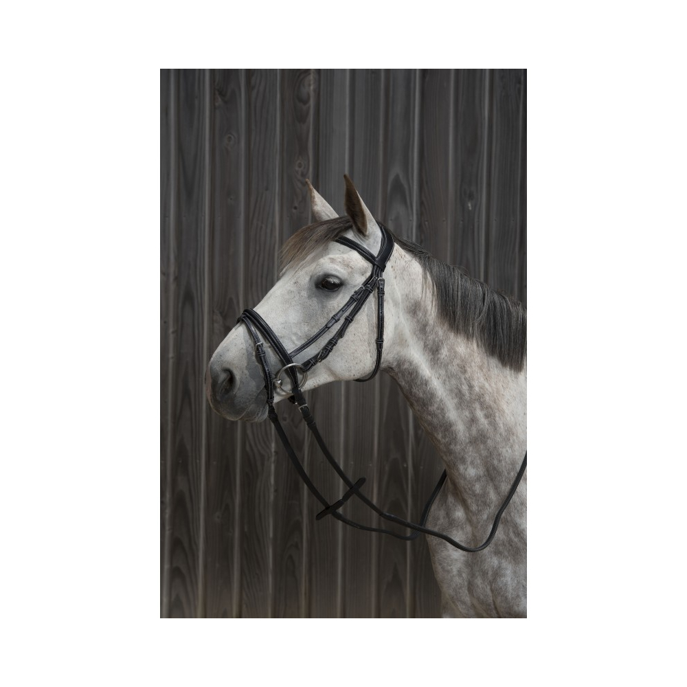 Protanner Ancy Duo Bridle