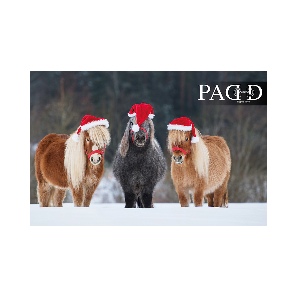 Carte cadeau à recevoir - Poneys de Noël chez PADD - CARTES CADEAUX À  RECEVOIR - PADD