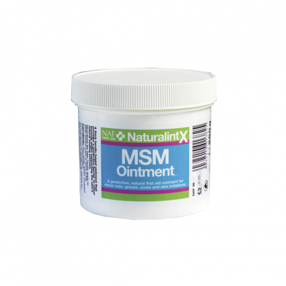 NAF Naturalintx MSM Salbe