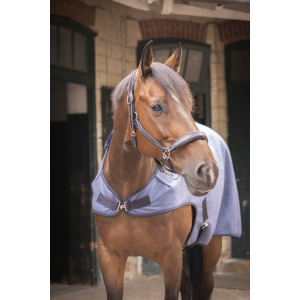 Paddock Sports Wooltouch Walker Rug