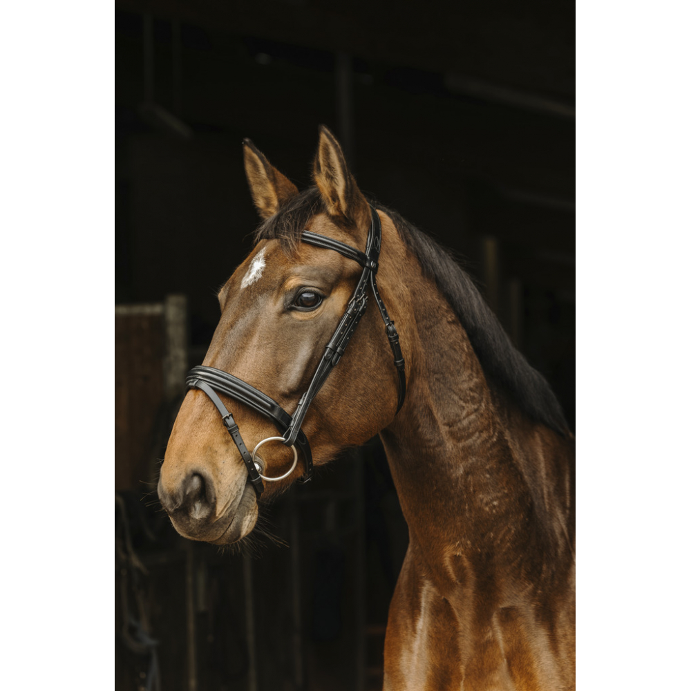 Norton Pro Bridle Apophyse - Leather Bridles - PADD