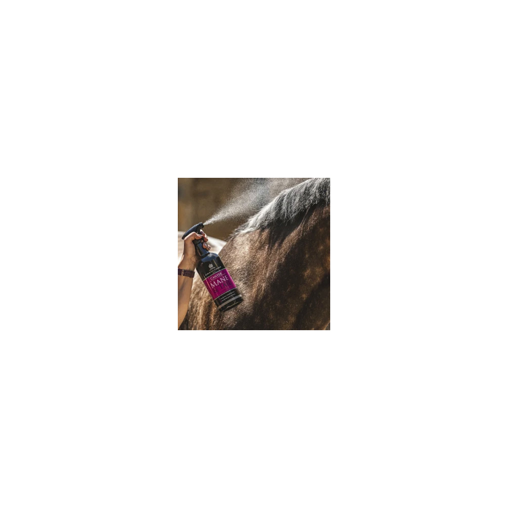 Carr & Day & Martin Canter® Detangler