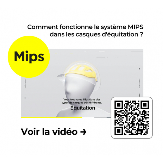 EQUITHÈME Wings MIPS mit Lamé-Top Reithelm