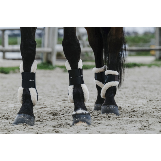 Boa hoof boots best sale