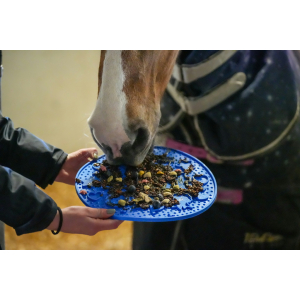 Pâte à lécher Likit Graze Paste