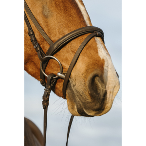 Riding World Bridle with a combined noseband