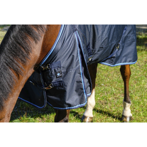 Riding World Eco 600D Rug - Standard