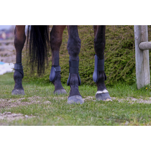 Riding World Fetlock boots