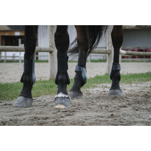 Riding World Fetlock boots