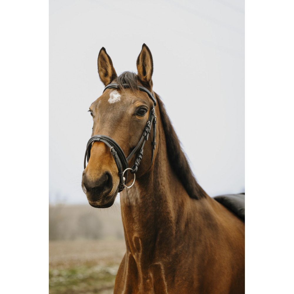 Norton Club Strass V Bridle