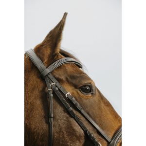 Norton Club Strass V Bridle