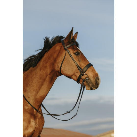 Riding World Wide noseband bridle