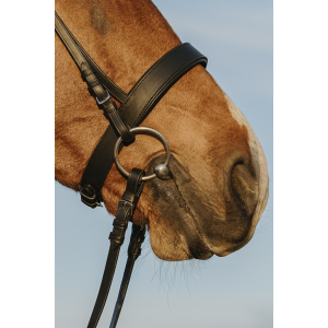 Riding World Wide noseband bridle