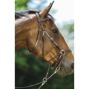 Norton Bitless Bridle