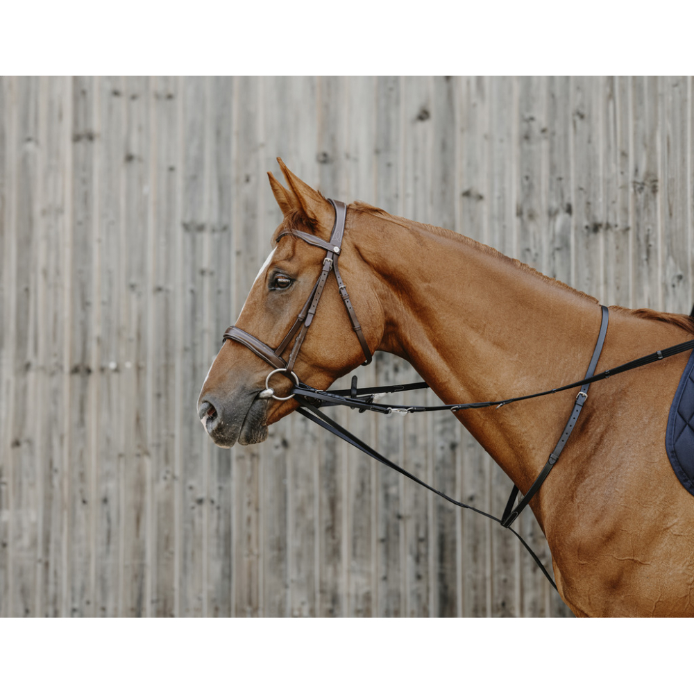 Side Riens Norton Pro Thiedeman side reins - draw reins - PADD
