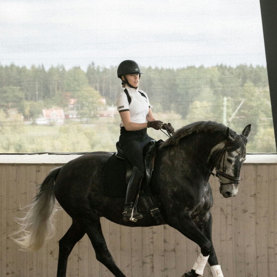 Correcteur de posture Back on Track