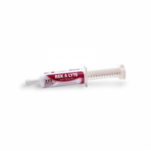 Rek a Lyte Flash Rekor syringe