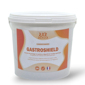 Soutien et soin de l'estomac Rekor Gastroshield