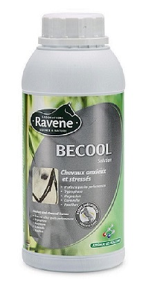 Becool Ravene